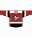 Hanno Eishockey Trikot