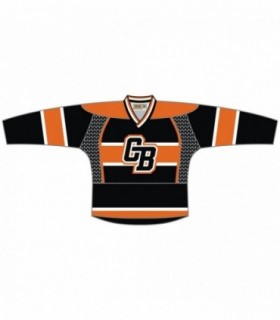 Fast Eishockey Trikot