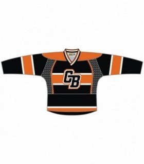 Fast Eishockey Trikot