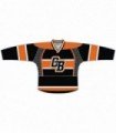 Fast Eishockey Trikot